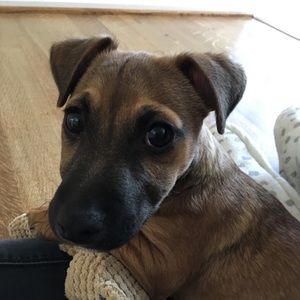 Meet your Posher, Angela